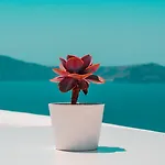 أثينا لوكشري سويتس فندق 4*