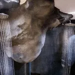 فندق أثينا لوكشري سويتس