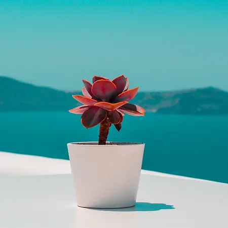 Athina Luxury Hotel 4*